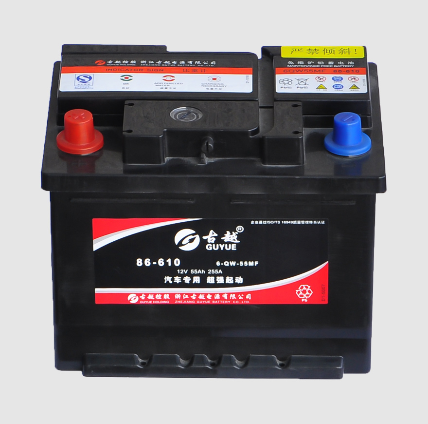 德標(biāo)汽車電池 6-QW-55